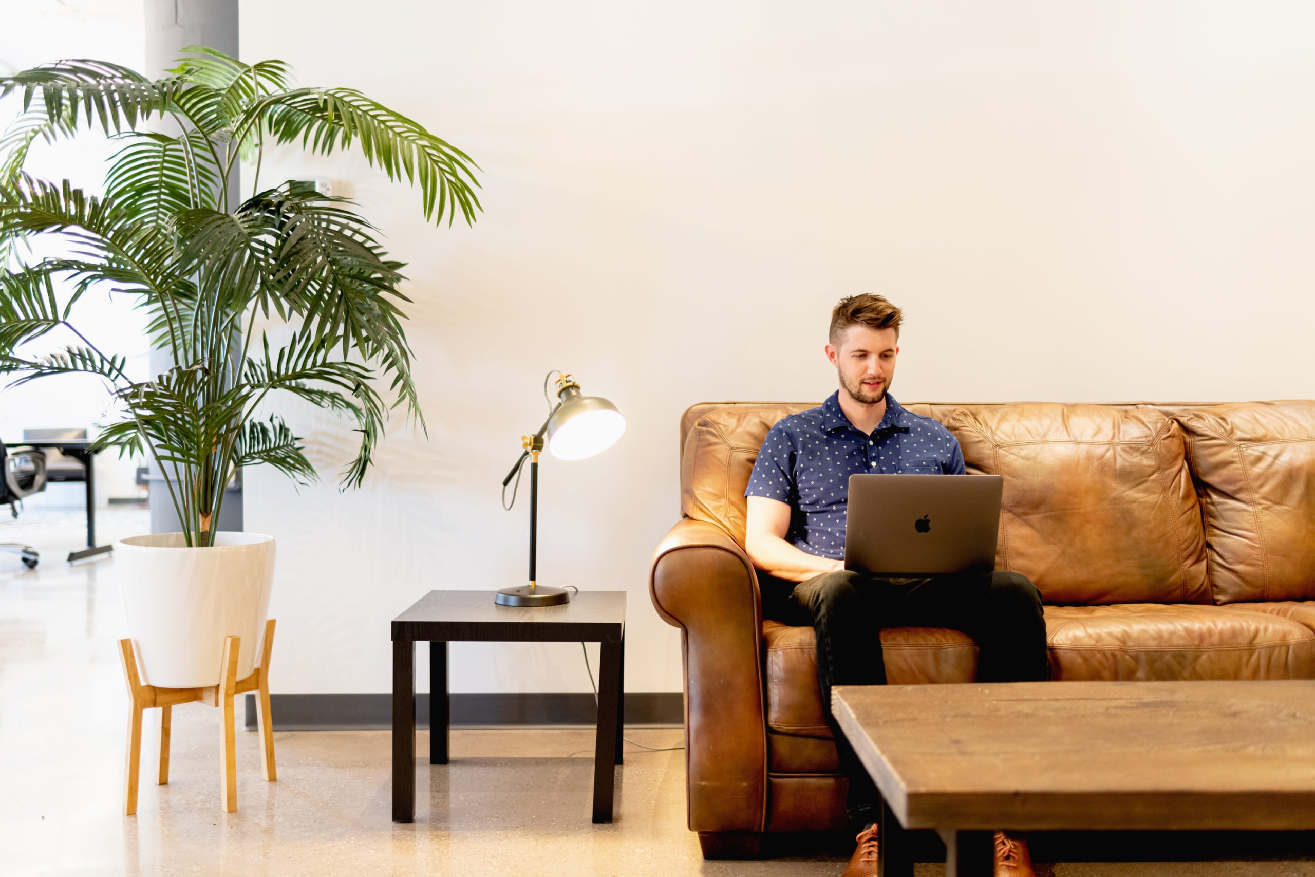 local business schema