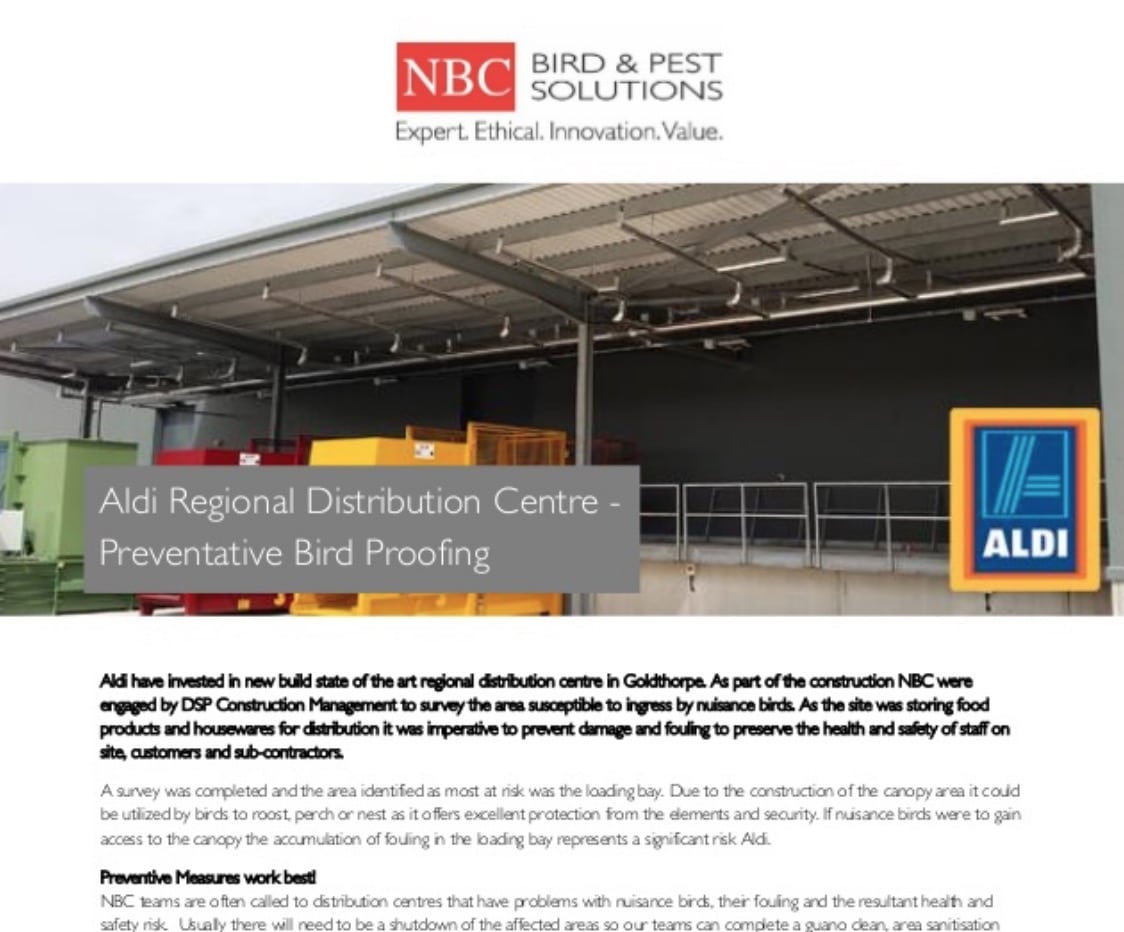 Niching in Commercial Construction - Case Study Example