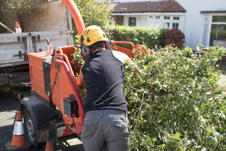 A professional wearing a yellow hard hat and protective earmuffs expertly operates an orange wood chipper on a residential street, demonstrating top-tier tree service skills. Safety cones are strategically positioned around the area, set against a backdrop of a truck and house.