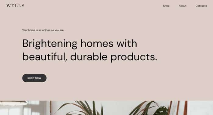 Tan Color Scheme 2024