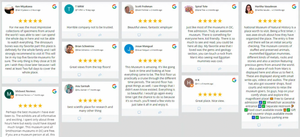 Collage of Google Reviews with ratings and comments shows positive feedback on museum's collections, facilities, and experiences.