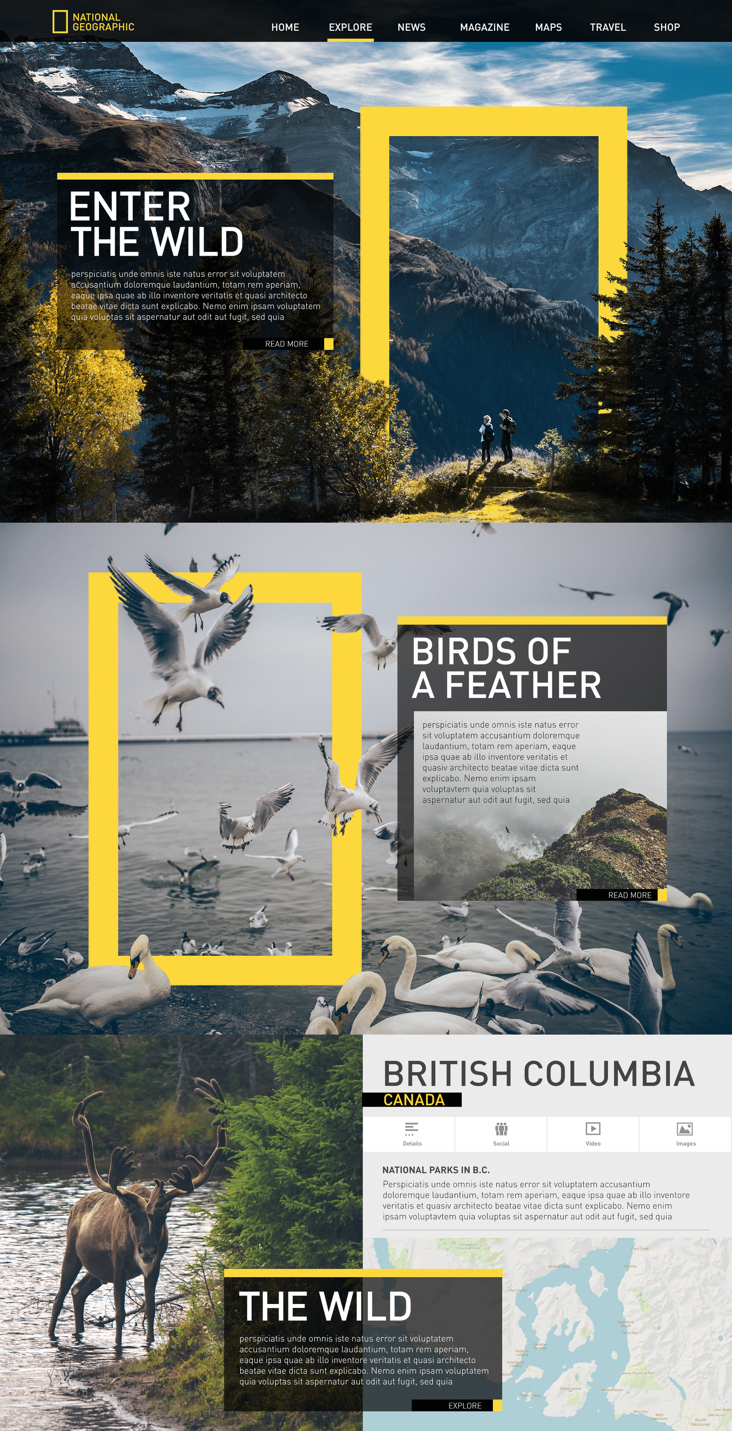 National Geographic redesign concept, rule of thirds, white space