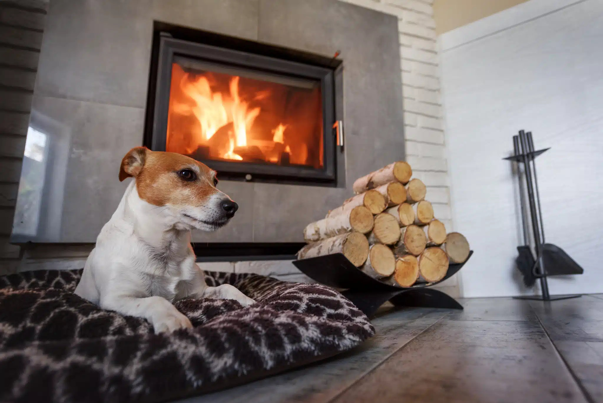 A small brown and white dog sits on a patterned cushion before an elegantly designed fireplace, complemented by a neatly stacked pile of firewood that completes the cozy ambiance.