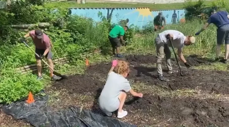 In a vibrant community garden, individuals cultivate their green careers through hands-on experience. Some members skillfully dig and turn the soil with shovels, while others concentrate on planting. The scene is vividly enhanced by a colorful mural and lush foliage.